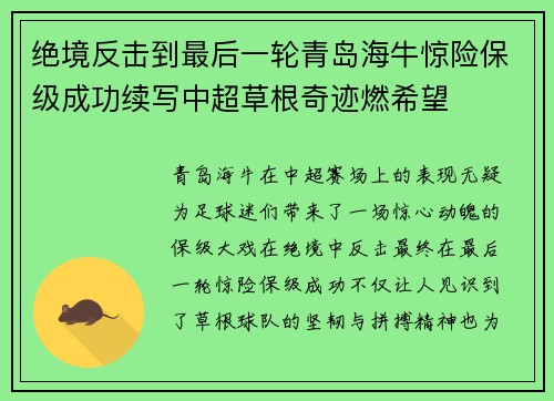 绝境反击到最后一轮青岛海牛惊险保级成功续写中超草根奇迹燃希望